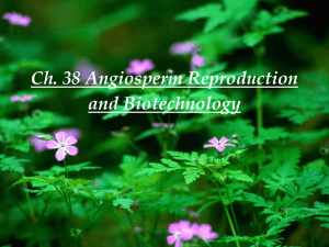 Ch. 38 Angiosperm Reproduction and Biotechnology