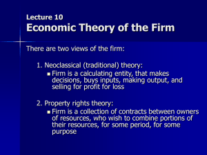 Lecture 11 The firm