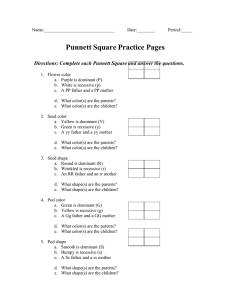 Punnett Square Practice Pages - Pregitzersninjascienceclasses