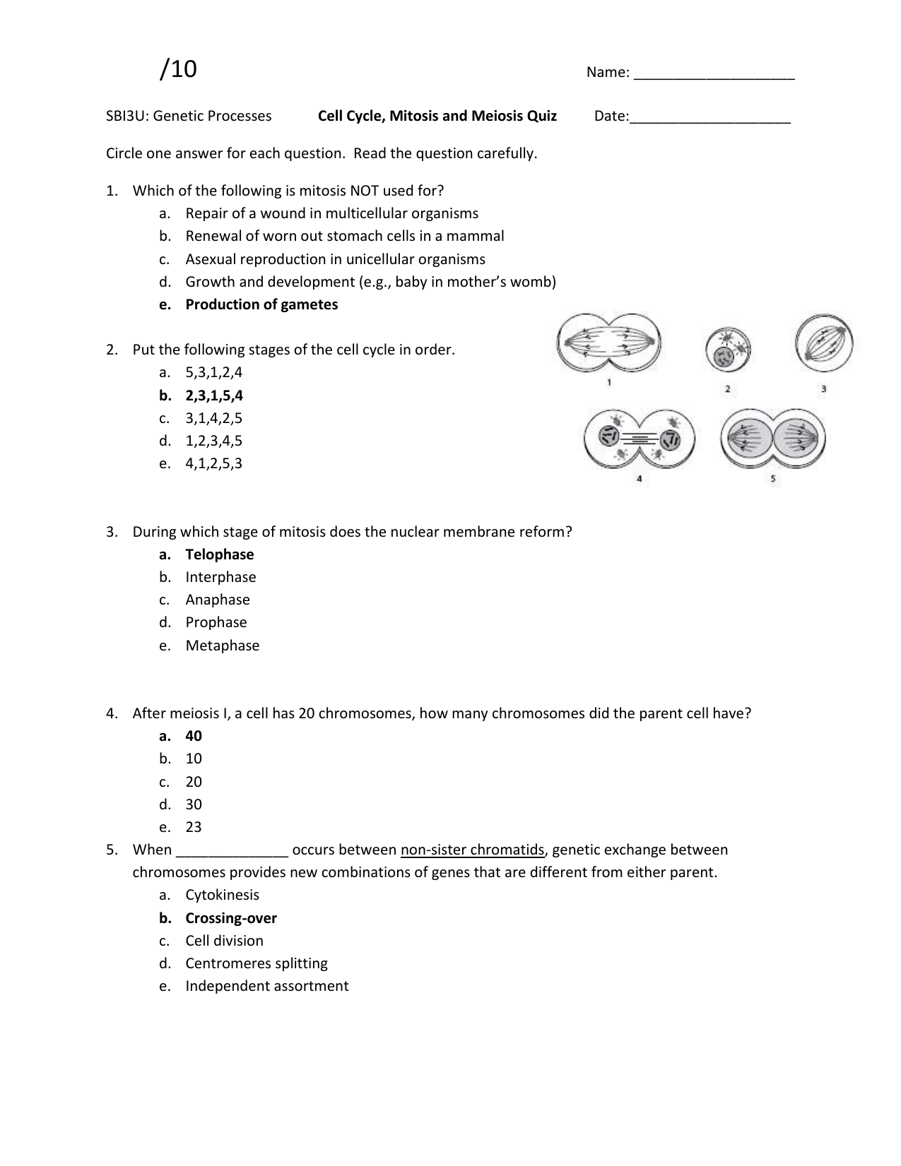 Day 11 Mitosis And Meiosis Quiz Answers