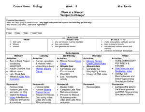 6 Mrs. Tarvin Week at a Glance* *Subject to Change