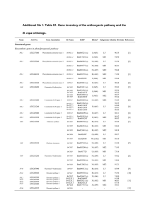 Additional file 1: Table S1. Gene inventory of the anthocyanin