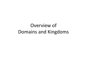 Overview of Domains and Kingdoms
