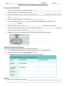 Cellular Respiration Guided Reading