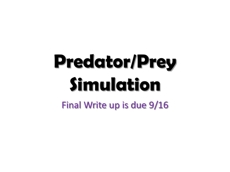 Predator/Prey Simulation