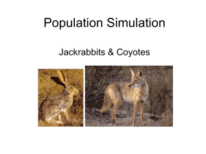 6. Jackrabbits & Coyotes