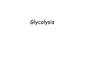 Glycolysis - Louisiana Tech University