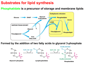 Lecture Topic: Fatty Acid Synthesis
