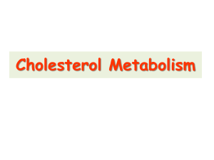 PLASMA CHOLESTEROL