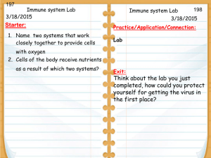 Immune System lab