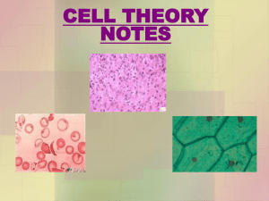 CELL THEORY NOTES