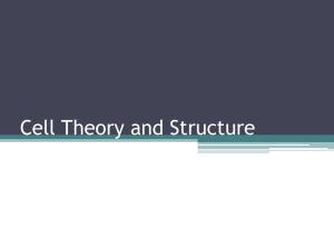 Cell Theory and Structure