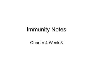 Immunity Notes