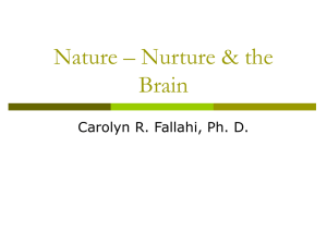 Nature, Nurture, Infant Development, Brain
