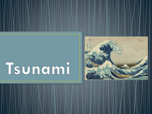 Information on Tsunami