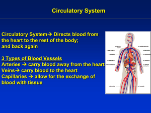 Circulatory System Teacher Notes
