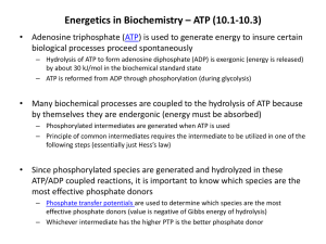 Energetics in Biochemistry – Glycolysis