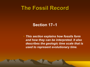 17-1 Fossil Record Evolution