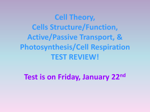 Chapter 2 Test Review Power Point 2016