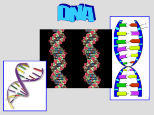 Final DNA