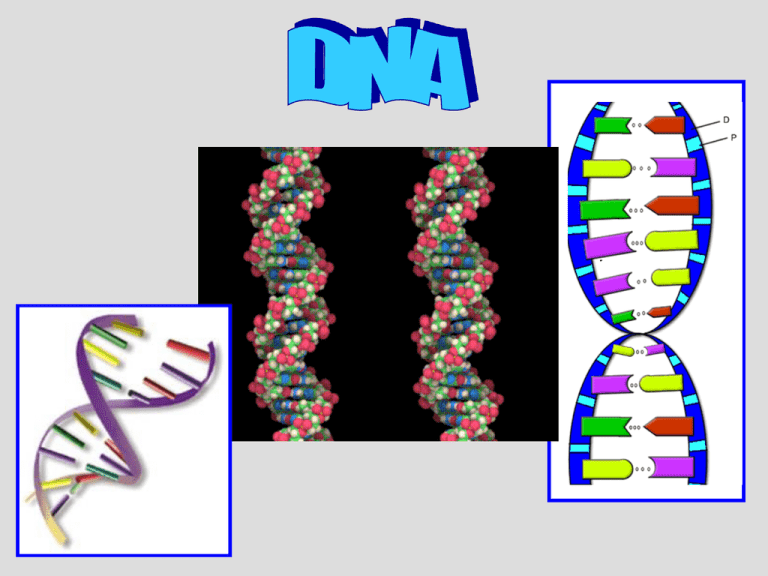 How Many Different Dna Fingerprints Are There