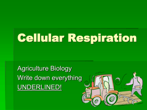Cellular Respiration - Etna FFA Agriculture