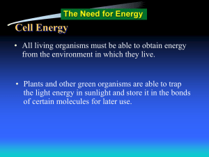 Cell Energy