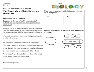 Solutions on the outside of a cell