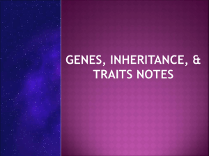 02 Genes, Inheritance, and Traits Notes