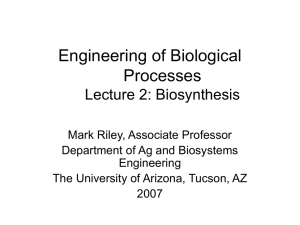 L2_Biosynthesis