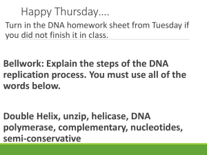 DNA Structure/Replication TEST REVIEW