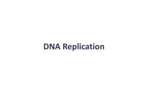 DNA Replication - Mrs. Shelly Jackson