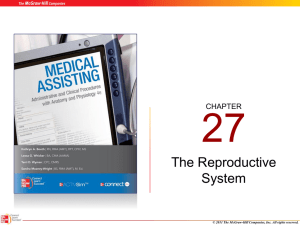 The Reproductive System - McGraw Hill Higher Education