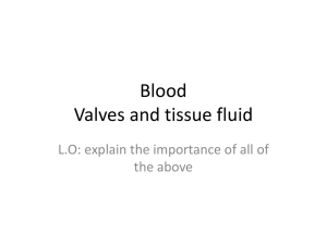 Valves and tissue fluid