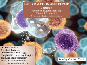 Inflammation and Repair - King Saud University Medical Student