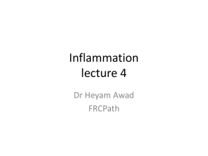 Inflammation lecture 4