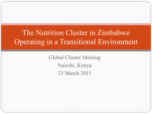 The Nutrition Cluster in Zimbabwe Operating in a