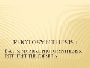 B-3.1: Summarize photosynthesis & interpret the formula
