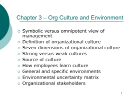 seven dimensions of organizational culture