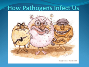 How Pathogens Infect Us