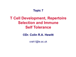 T cell development and self tolerance PPT