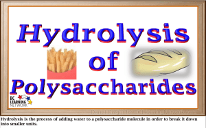 Hydrolysis of Polysa..