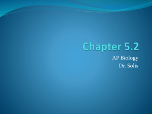 Chapter 5.2 - Cloudfront.net