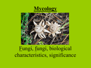 Week 1 Introduction to both fungi and Fungi, significance, history