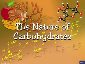 1.the nature of carbohydrates