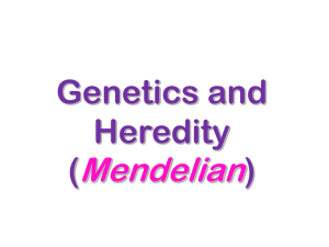 Genetics and Heredity (Mendelian)