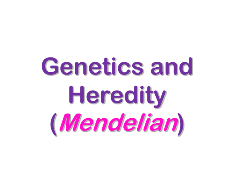 Genetics And Heredity Mendelian