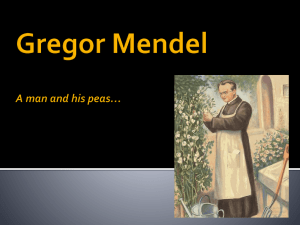 S1-1-01 - Gregor Mendel - Powerpoint