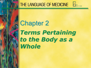 Terms Pertaining to the Body as a Whole