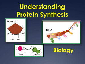 Biology 1 Notes Chapter 12 - DNA and RNA Prentice Hall pages